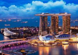 46倍狮子森林舞会桌面版客户端